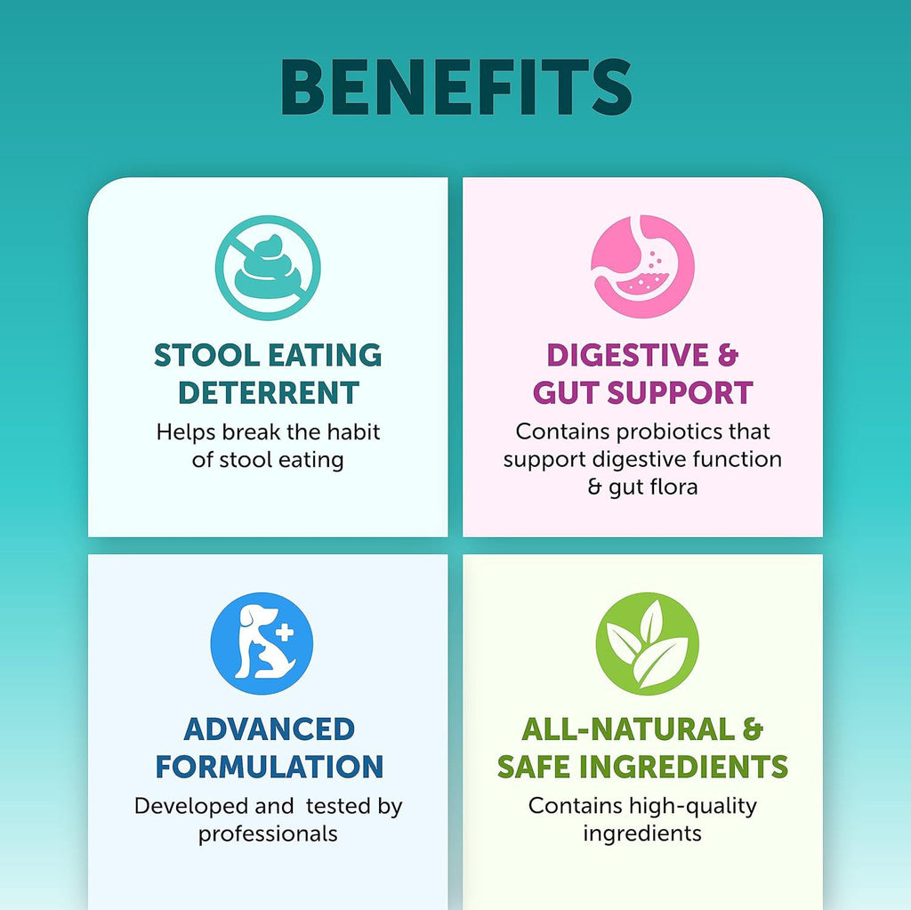 Probiotic Chewable Tablets for Digestive Health, Gut Balance & Daily Immunity Support