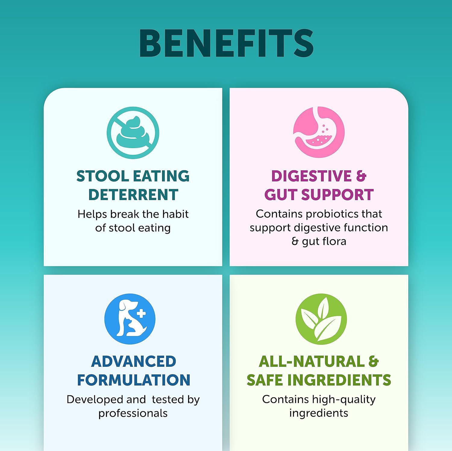 Probiotic Chewable Tablets for Digestive Health, Gut Balance & Daily Immunity Support