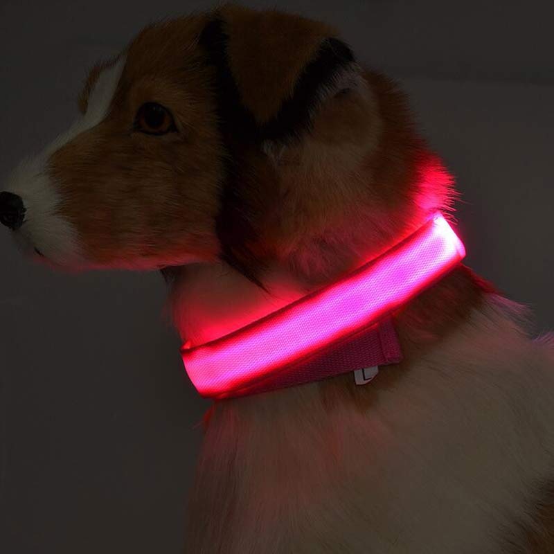 LED Luminous Pet Collar – Adjustable Nylon Safety Collar for Night Walks
