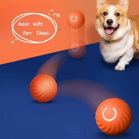 Durable Rubber Dog Ball – Chew & Fetch Toy for Puppies and Dogs
