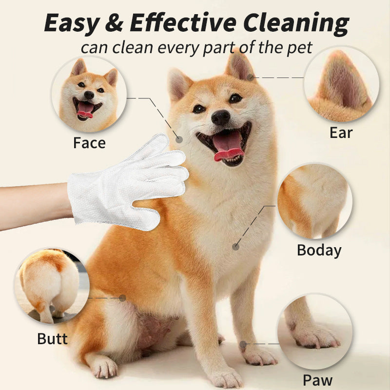 Pet Cleaning Glove for Cats & Dogs – Disposable Grooming & Fur Removal Gloves