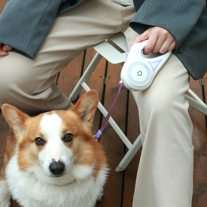 Retractable Dog Leash with Collar – Automatic Traction Rope with Safety Light