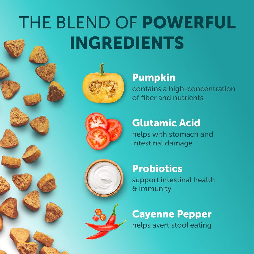 Probiotic Chewable Tablets for Digestive Health, Gut Balance & Daily Immunity Support