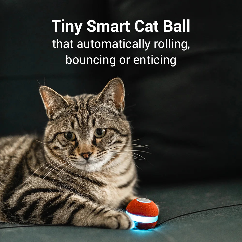 Eco Friendly Electronic Moving Cat Automatic Pet Toy Interactive Electric Ball