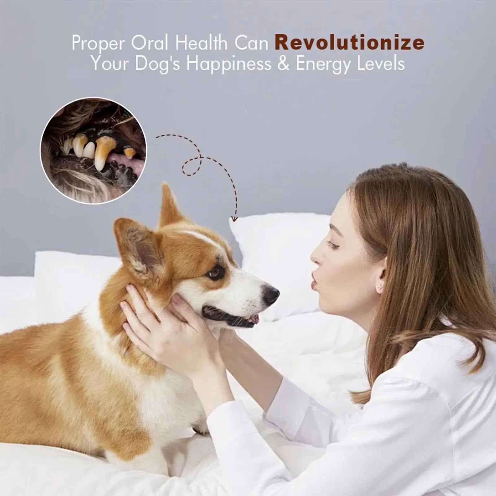 Dog Teeth Cleaning Powder for Fresh Breath and Healthy Gums