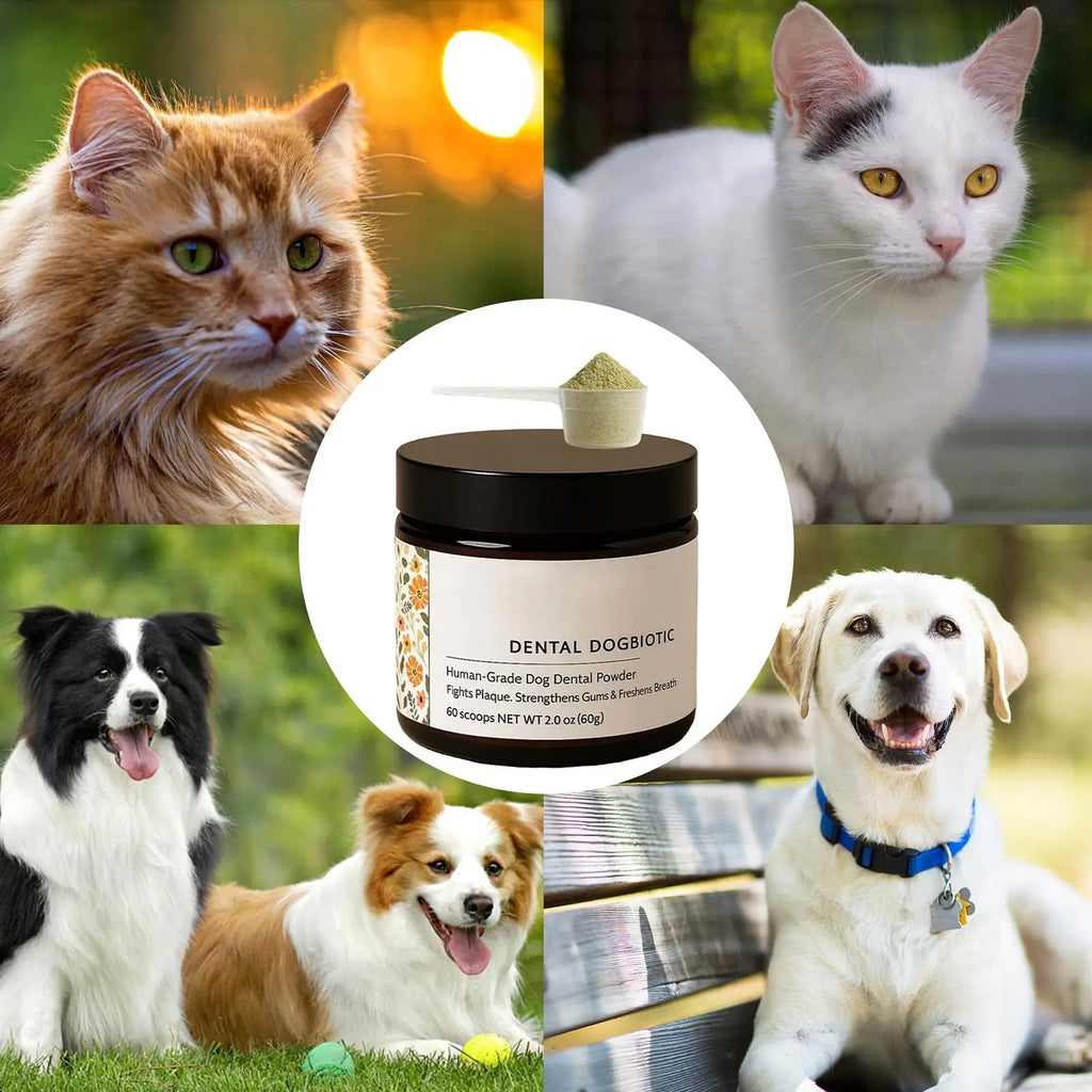 Dog Teeth Cleaning Powder for Fresh Breath and Healthy Gums