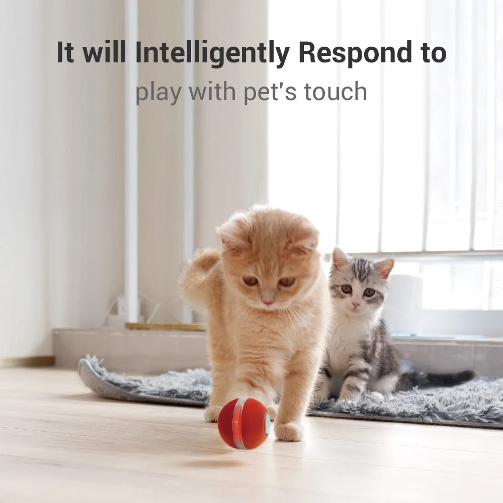 Eco Friendly Electronic Moving Cat Automatic Pet Toy Interactive Electric Ball