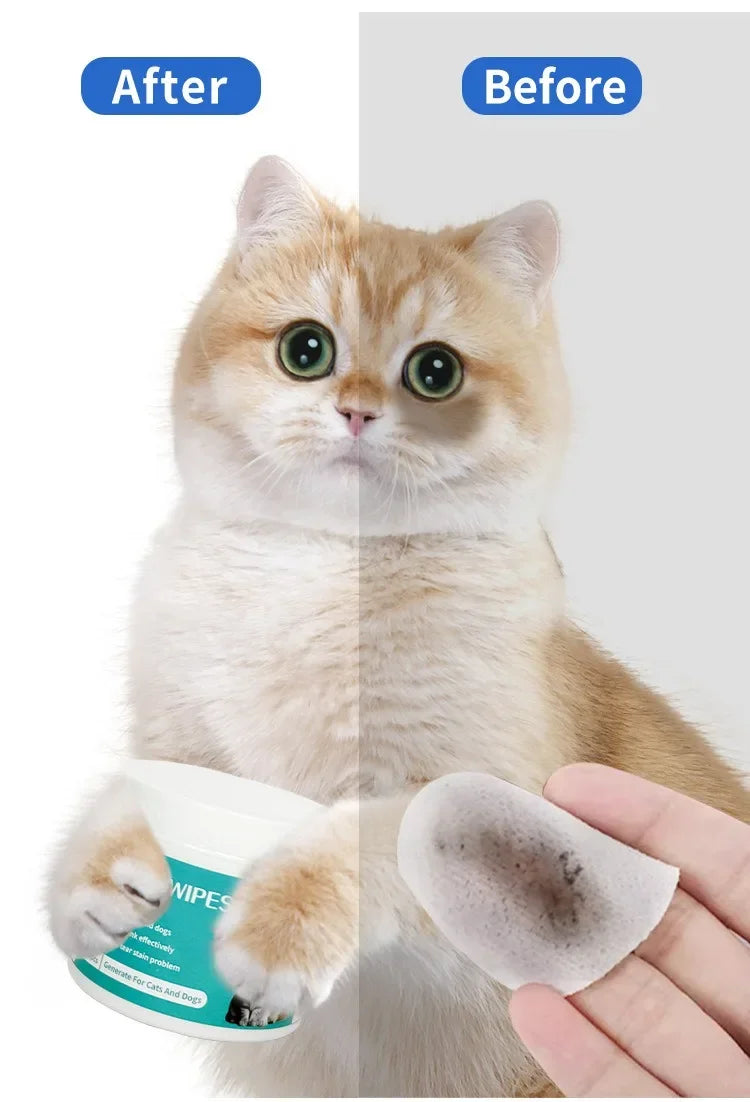 Pet Eye Wipes for Cats & Dogs – Gentle Tear Stain & Eye Cleaning Wet Tissues