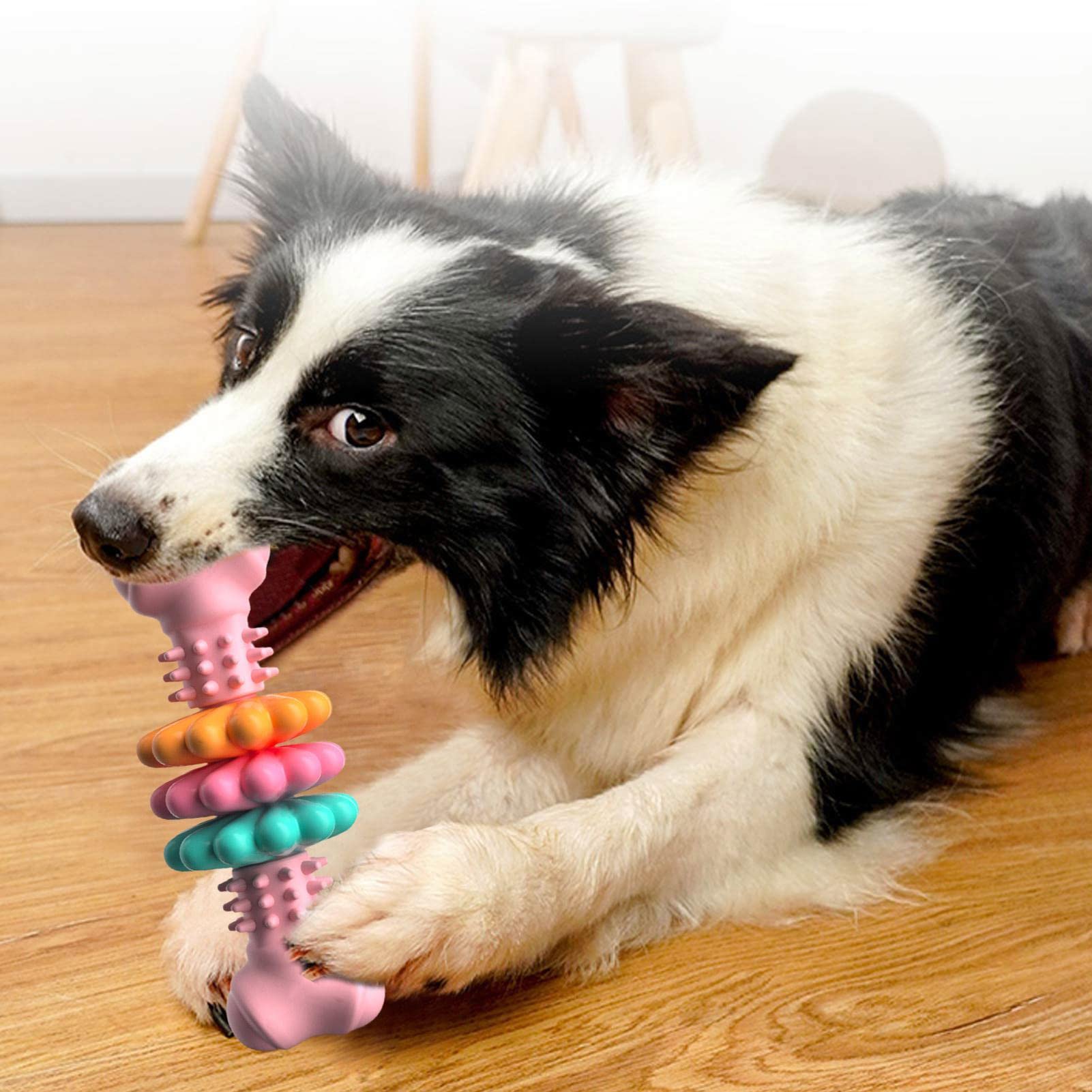 Indestructible Dog Chew Toy – TPR Bone for Teeth Cleaning & Bite Resistance